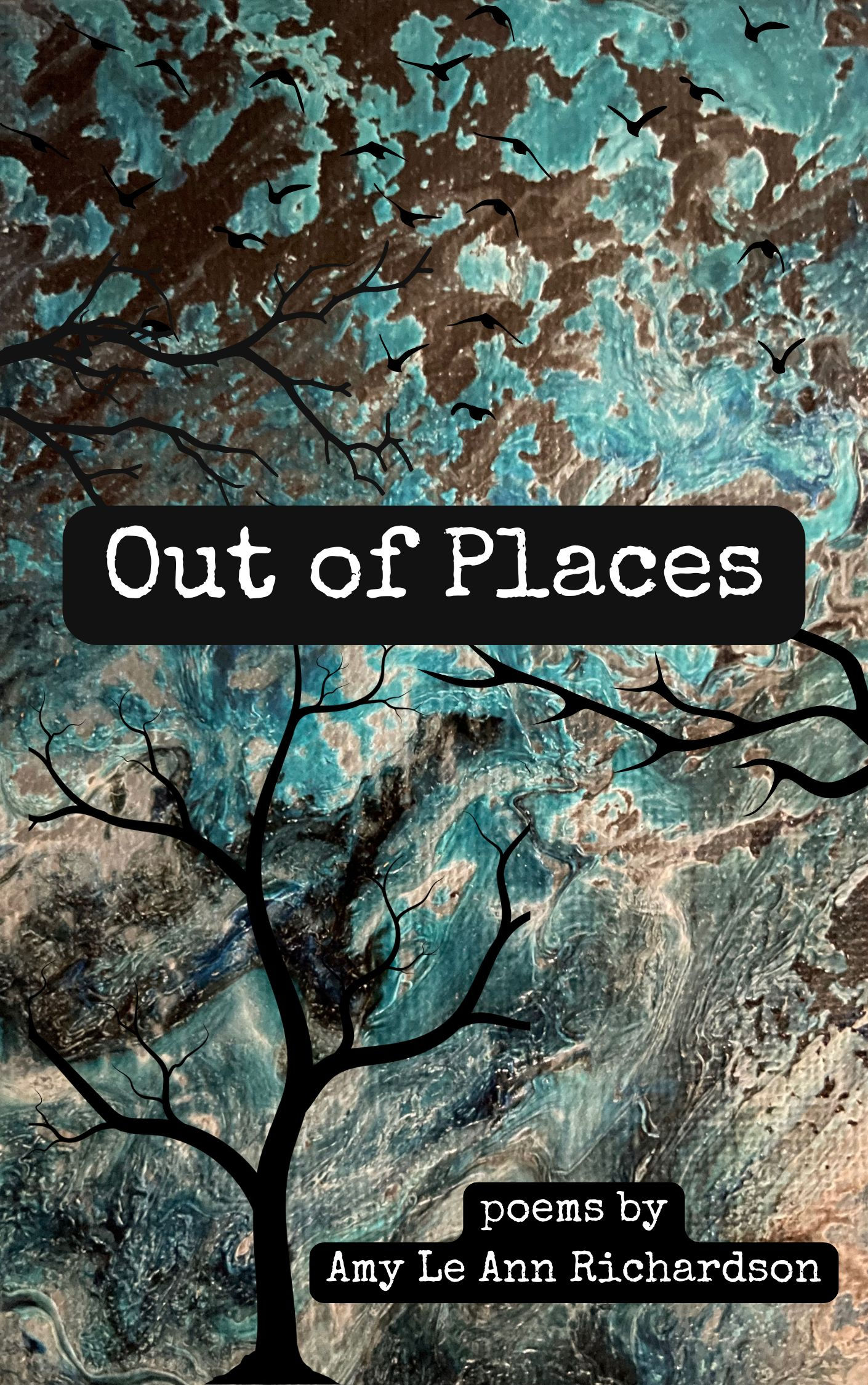 Out of Places, by Amy Le Ann Richardson