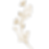 MT (9).png