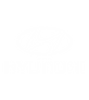 Hyundai Logo.png