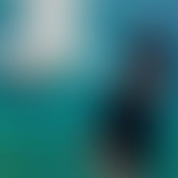 [여행지/커넥티컷 Mystic/아쿠아리움] Mystic Aquarium