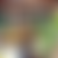 [여행지/노스캐롤라이나 Asheville/관광지] Biltmore House