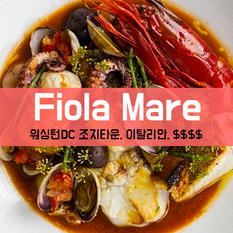 [맛집/워싱턴DC Georgetown/이탈리안/$$$$] Fiola Mare

