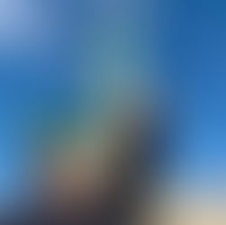 [여행지/뉴욕 Liberty Island/랜드마크] Statue of Liberty