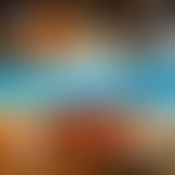 [맛집/텍사스 Austin/바베큐/$$] Salt Lick BBQ