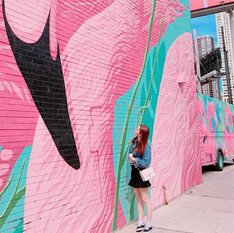 [여행지/일리노이 Chicago/관광지] The Flamingo Wall