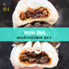 [맛집/일리노이 Chicago/중식/$] Wow Bao