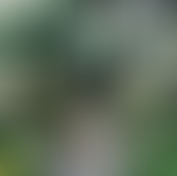 [여행지/미주리 St. Louis/식물원] Missouri Botanical Garden
