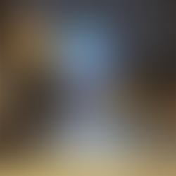 [여행지/위스콘신 Madison/관광지] Wisconsin State Capitol