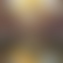 [여행지/아리조나 Kanab/자연] The Wave