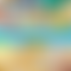 [맛집/텍사스 San Antonio/아메리칸/$-$$] Magnolia Pancake Haus