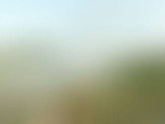 Riego Eficiente y Conservación del Agua: Una Necesidad Imperante en la Agricultura