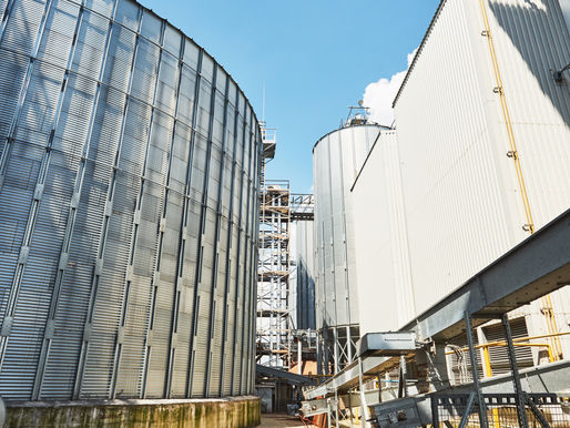 Silo en el Campo: Almacenando Éxito y Protegiendo Cosechas en Tiempos Cambiantes
