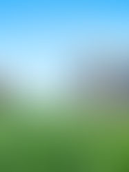 Tras la tierra fértil: Los secretos ocultos de los precios de Agroinsumos