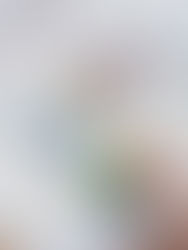 Perspectivas del Sector Agrícola Mexicano ante las Fluctuaciones de Precios