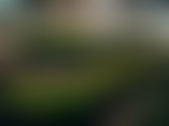 Revolución Verde: El Progreso de la Agricultura Vertical en México