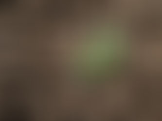 Agricultura a Prueba de Cambio Climático: Desafíos, Oportunidades y Estrategias