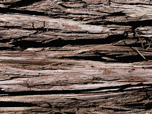 Construcción Sostenible: Reducción de Costos y Energía a Través de la Made