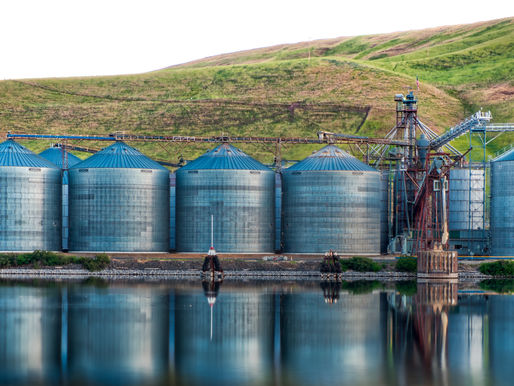 En el vasto paisaje agrícola, los silos se erigen como guardianes silenciosos de la cosecha