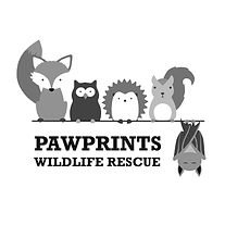 Paw Prints Charity