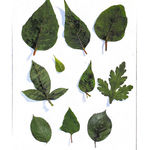 Scanned Documents-1_Page_05.jpg