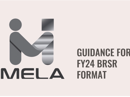 Guidance for the revised FY24 BRSR format