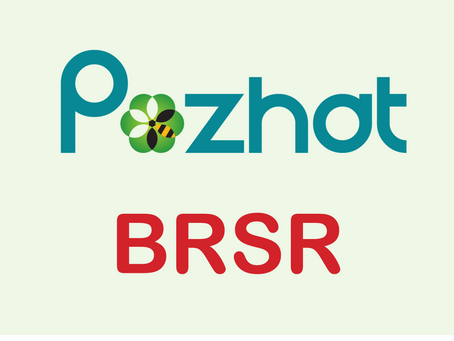 BRSR - Every question you have -answered
