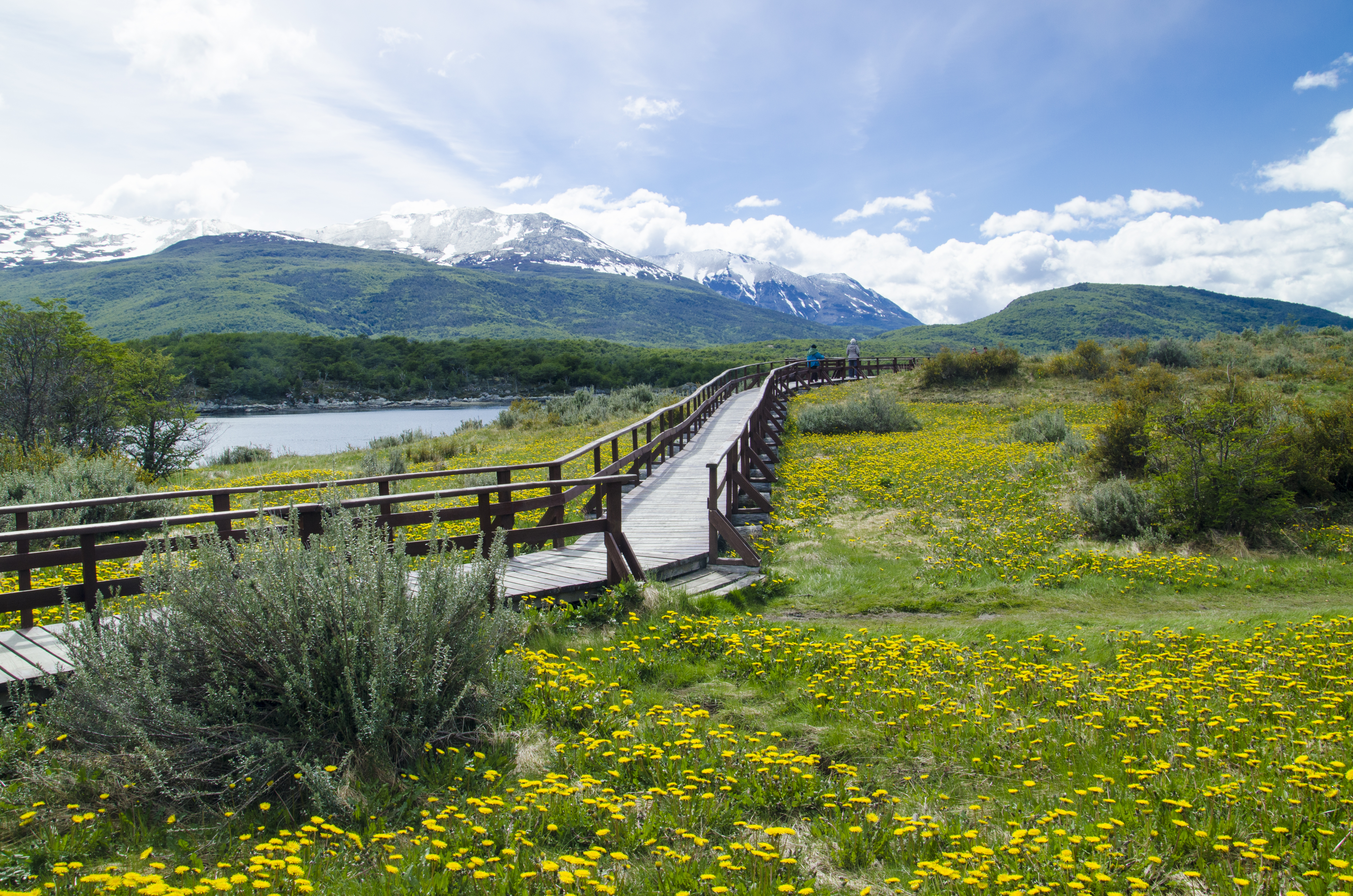 Patagônia - Argentina