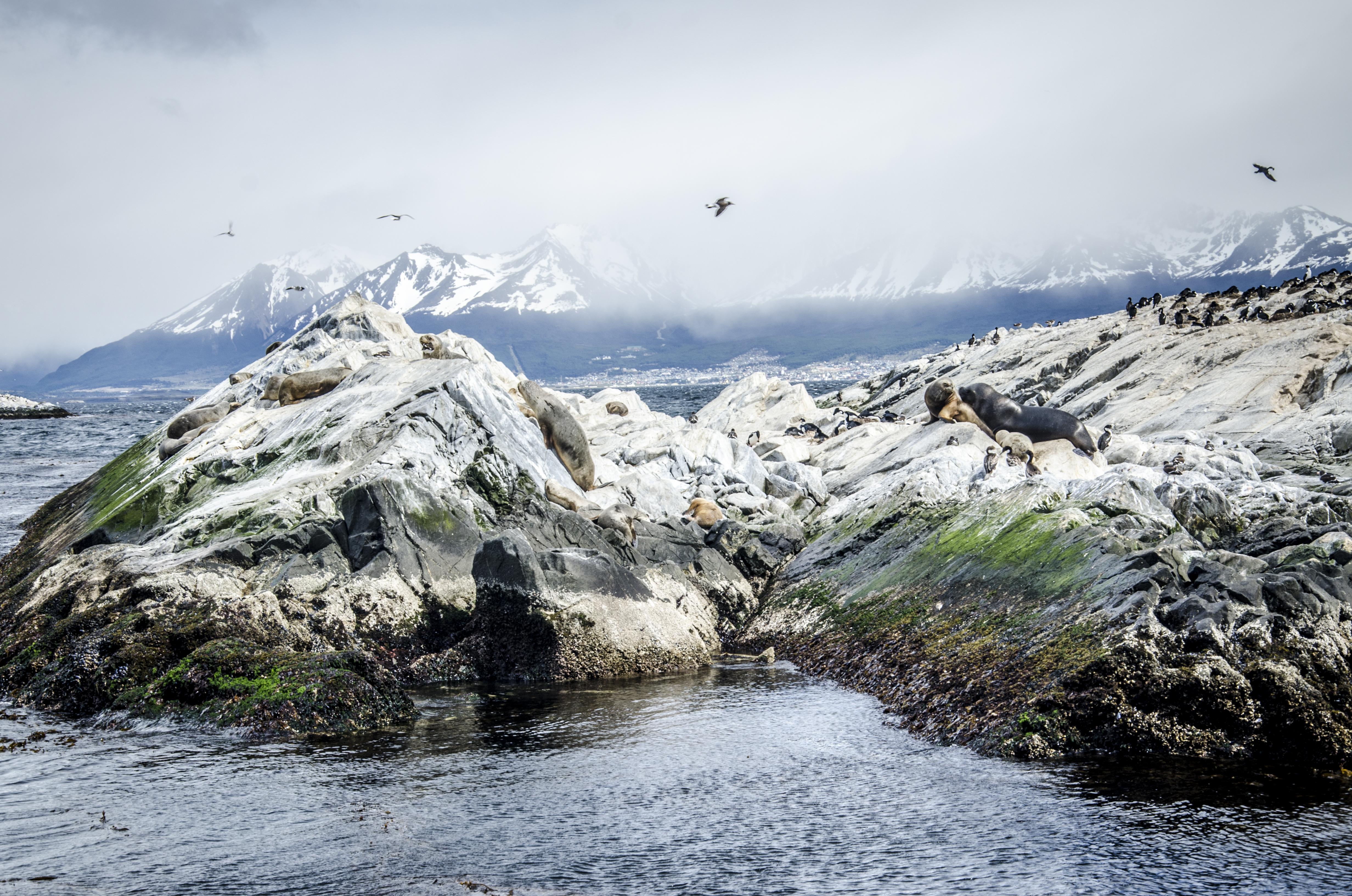 Ushuaia - Argentina