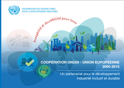 Coopération ONUDI – Union Européenne 200