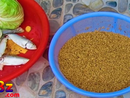 CHĂM GÀ ĐÁ - BJ88 🎖️ ĐÁ GÀ - NHÀ CÁI ĐƯỢC BÌNH CHỌN TỐT NHẤT