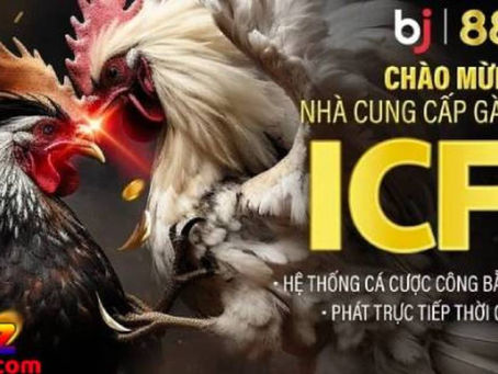 Đá gà trực tiếp BJ88