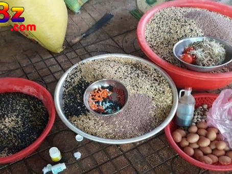 Khám Phá 5 Loại Thức Ăn Cho Gà Đá - Bí Quyết Nuôi Gà Khỏe Mạnh