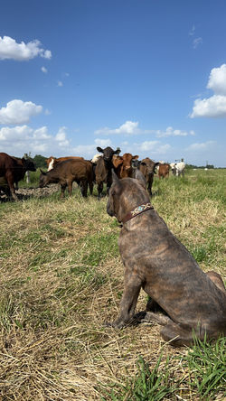 22D9342B-2702-4EE2-9D25-AFB4AA9CA714