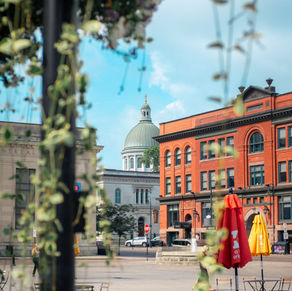Kingston’s Summer Grocery Guide: Where to Find Fresh, Local, and Seasonal Whole Foods