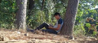 Working in The Woods