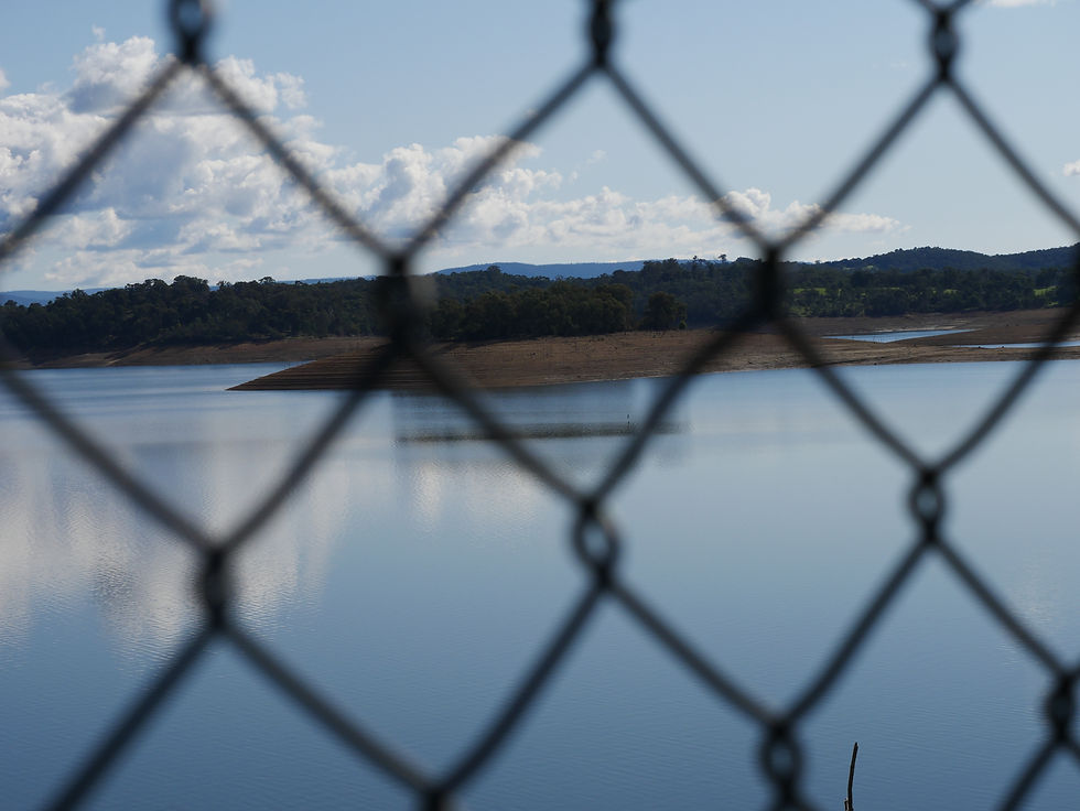 Wire fence