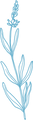 green_lavender.png