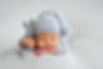 AdobeStock_269043563 copy.jpeg