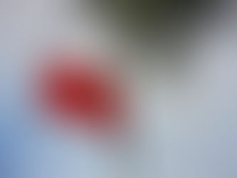 Medeniyetin temel yapı taşı "Dil"
