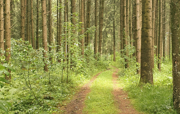 20220629_123414_edited.jpg