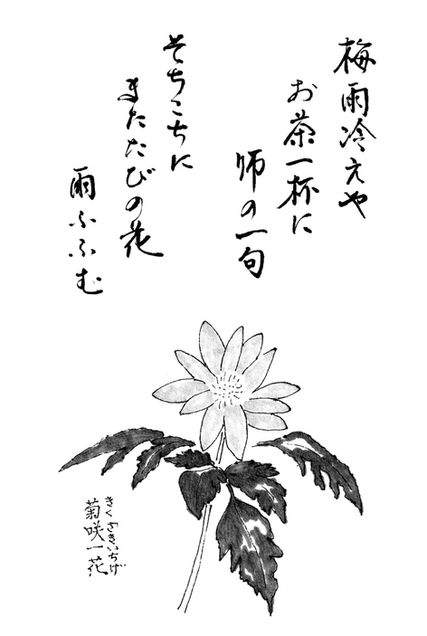 SCN_0247-1.jpg