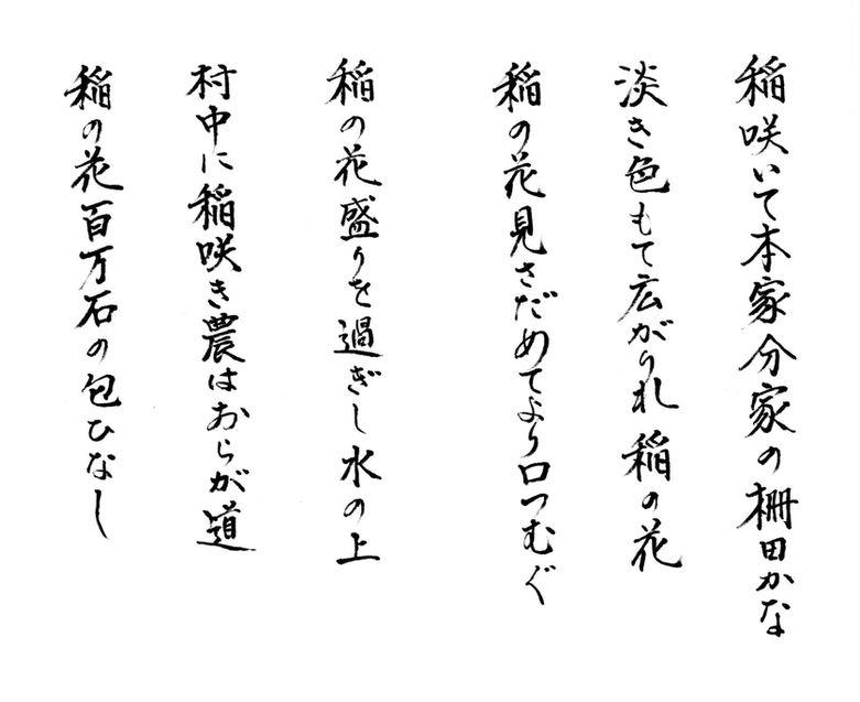 ほむら二ｐ8