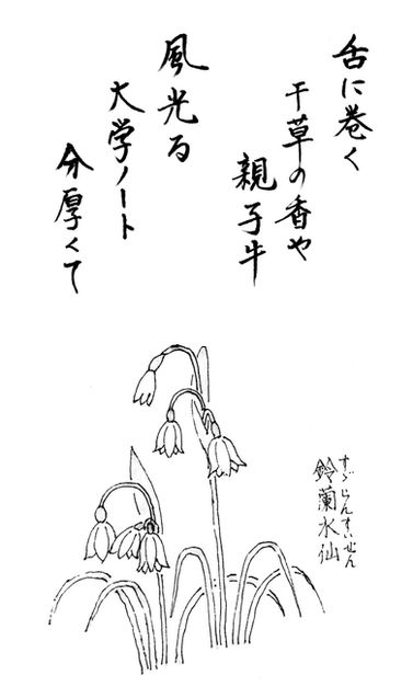 SCN_0233-1.jpg