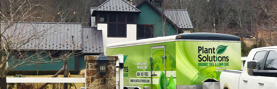 Plant Solutions providing commercial landscaping services