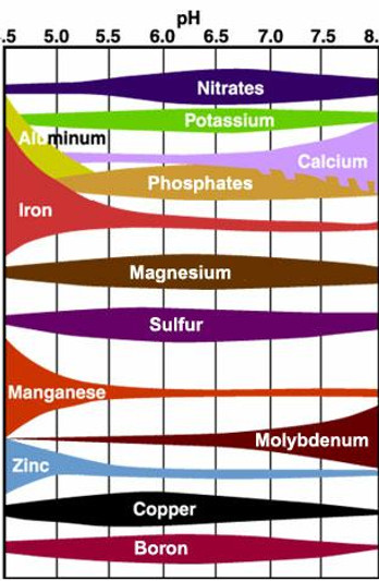 PH-Soil-Testing-New-Jersey