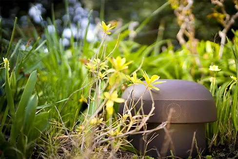Sonance-Outdoor-Subwoofer-Install-Near-Essex-Fells-NJ.webp
