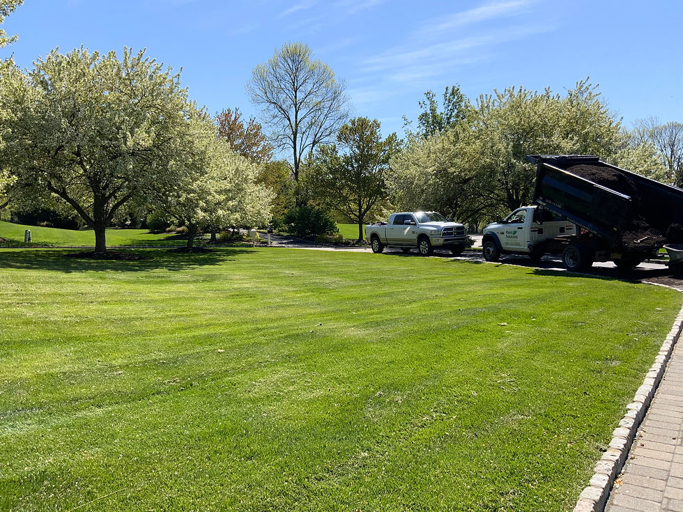 Tree-and-Lawn-Care-NJ
