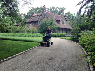 Lawn seeding 101: The difference between slice seeding and overseeding