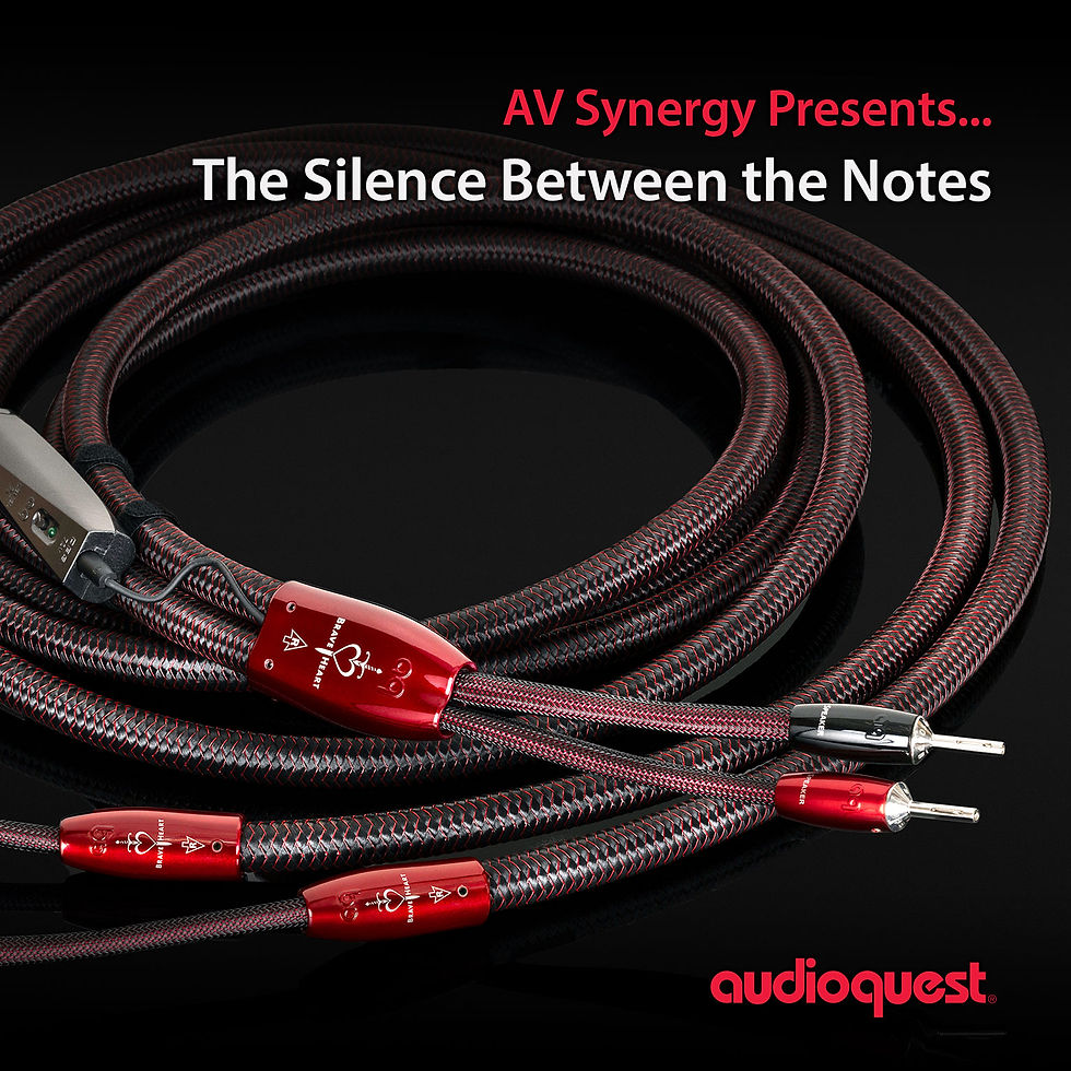 social media post from AudioQuest for Audio Video Synergy listening event.