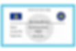 FSS-new-york-security-fire-system-license.jpg